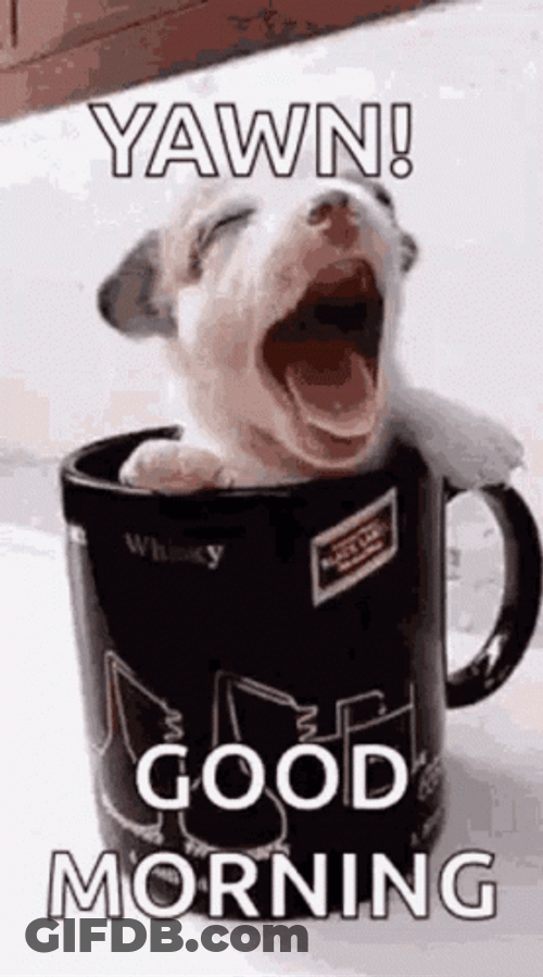 Cute Dog Yawning Good Morning GIF