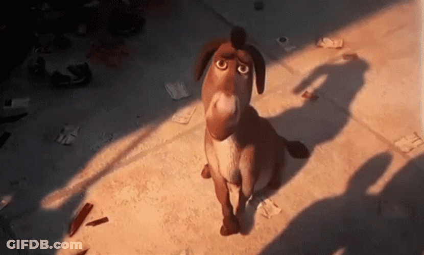 Cute Donkey Shrek GIF