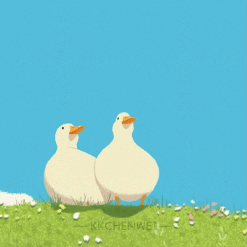 Cute Duck Couple Date GIF