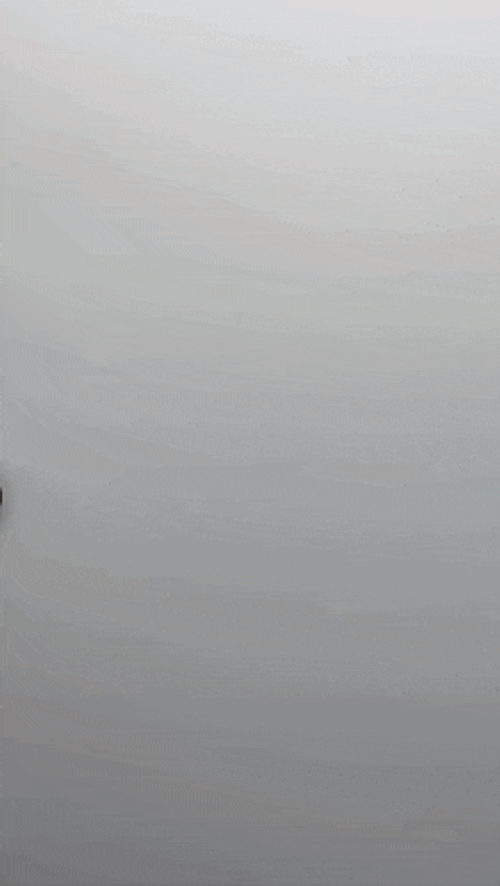 Cute Duck GIF
