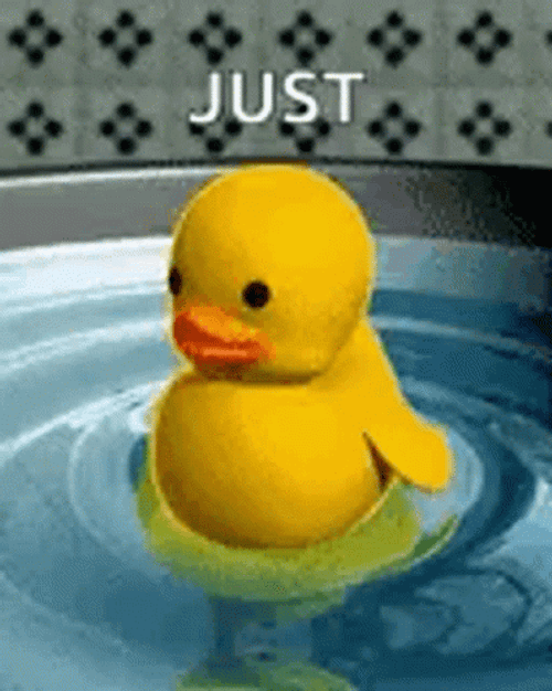 Cute Duck Swimming GIF