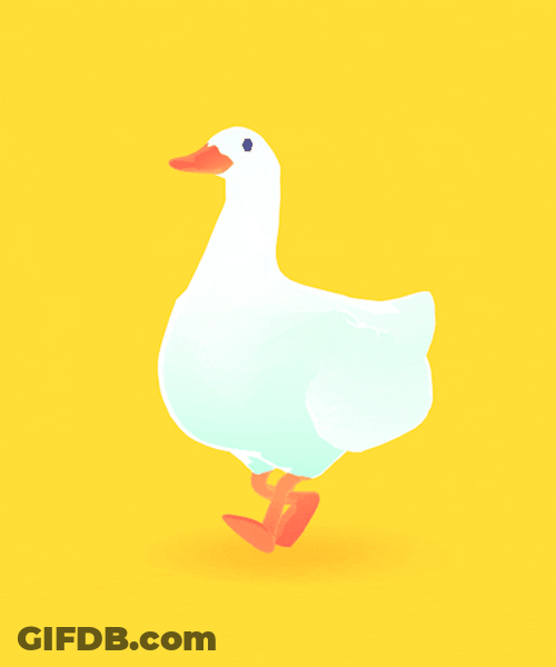 Cute Duck Walking Forward GIF