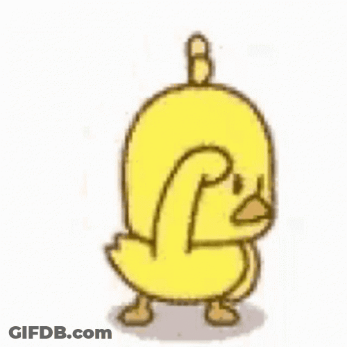 Cute Duckling Searching Around Animation GIF