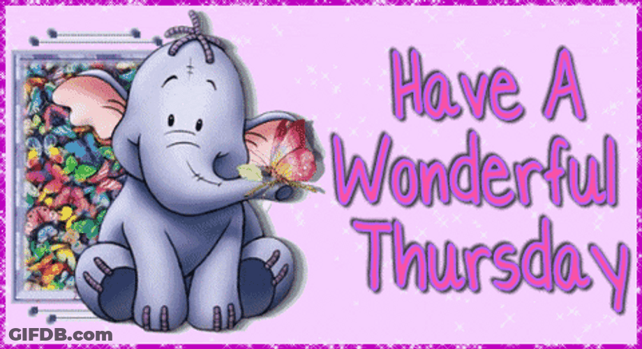 Cute Elephant Have Wonderful Day GIF