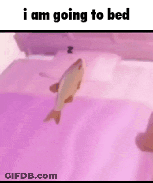 Cute Fish Sleeping In Bed Meme GIF