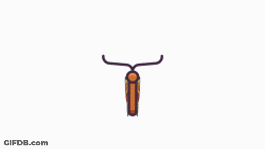 Cute Flying Butterfly Animation GIF