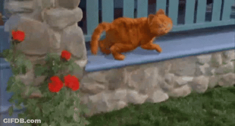 Cute Garfield Dancing Outside The House GIF