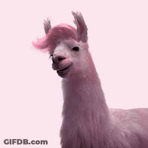 Cute Girly Donkey Staring Out GIF