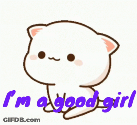 Cute Girly Good Cat GIF