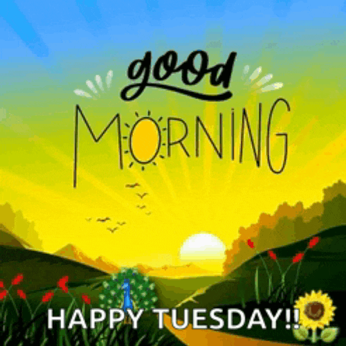 Cute Good Morning Meme GIF