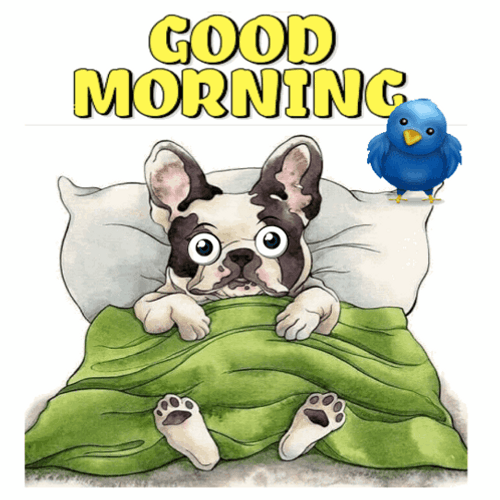 Cute Good Morning Puppies Big Bed GIF