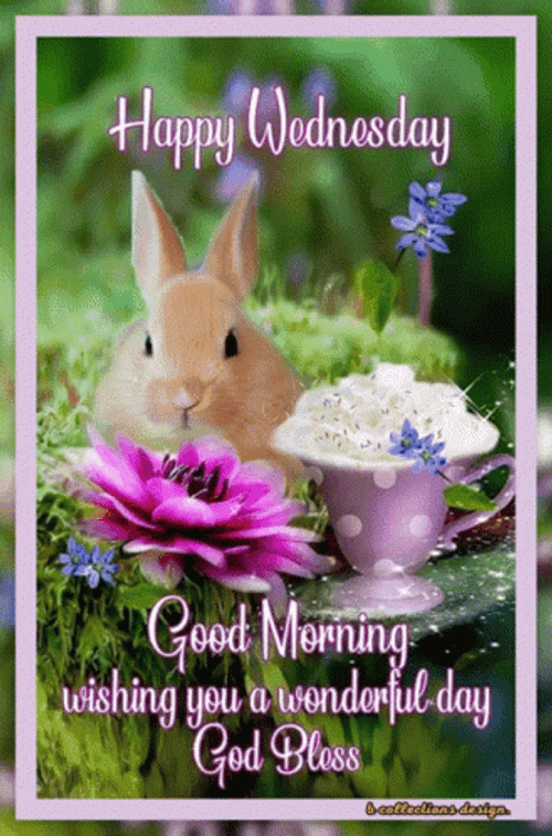 Cute Good Morning Wednesday Brown Bunny GIF