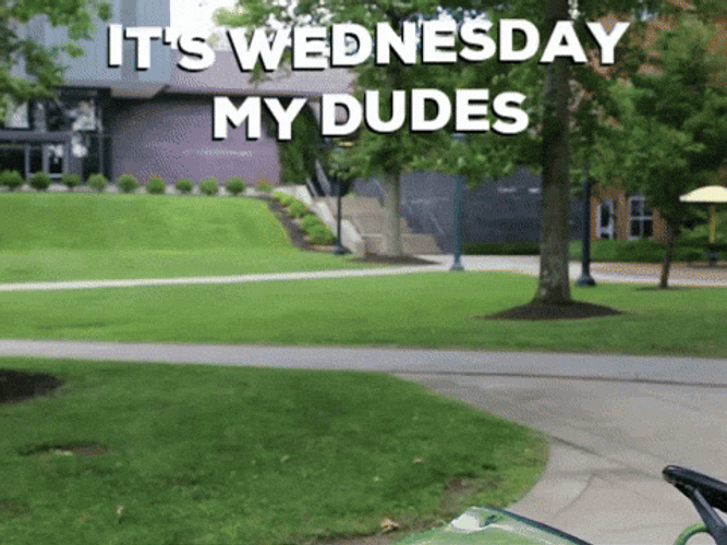 Cute Good Morning Wednesday Dino Cart GIF