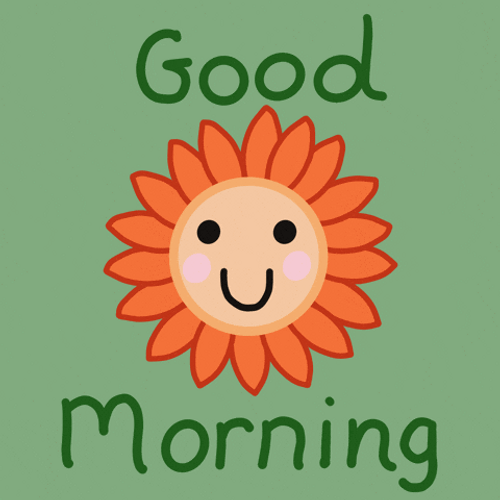 Cute Good Morning Wednesday Happy Flower GIF