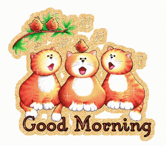 Cute Good Morning Wednesday Three Orange Cats GIF