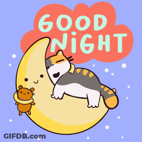 Cute Good Night Kitty Cuddling Moon GIF