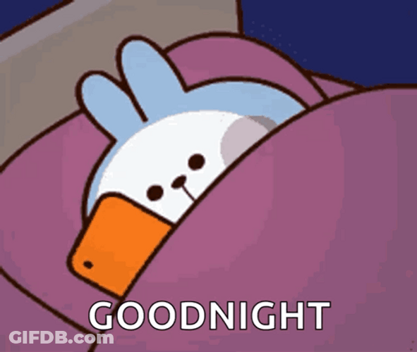 Cute Good Night Slumbering Bunny GIF