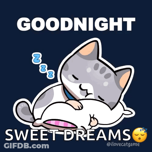 Cute Good Night Sweet Dreams Snoring Kitty GIF