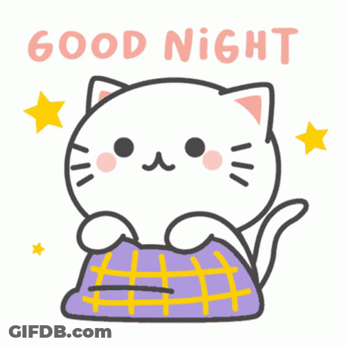 Cute Goodnight Kiki Cat GIF