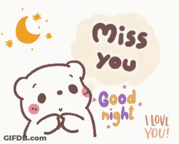 Cute Goodnight Miss You GIF