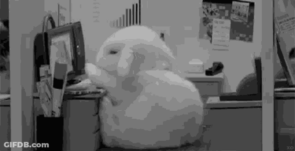 Cute Goodnight Office Bunny GIF