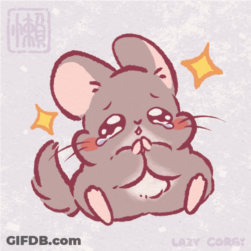 Cute Gray Fluffy Chinchilla Crying GIF