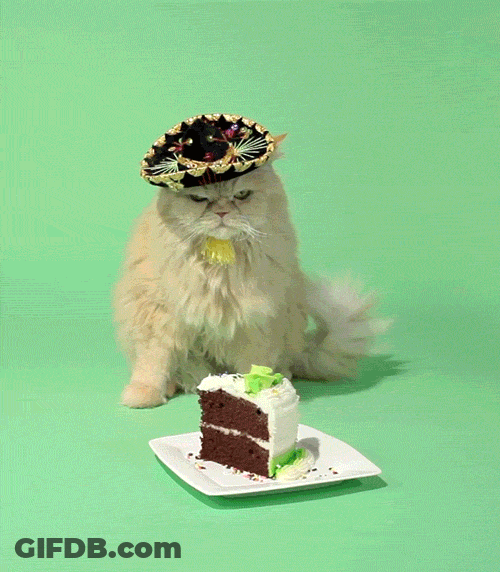 Cute Grumpy Cat Guarding Birthday Cake GIF