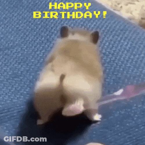 Cute Hamster Getting Brush Birthday Greeting GIF