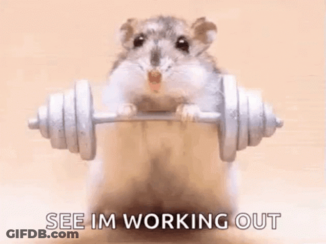 Cute Hamster Working Out GIF