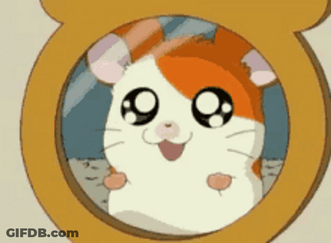 Cute Hamtaro Glass Window Excited See Outside GIF
