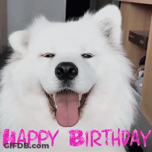 Cute Happy Birthday Dog Moving Ears GIF