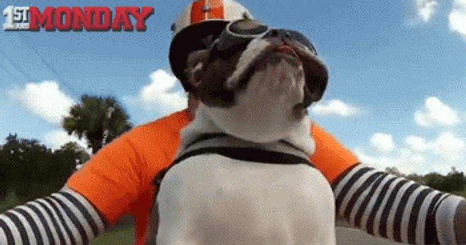 Cute Happy Monday Bike Riding Bully GIF
