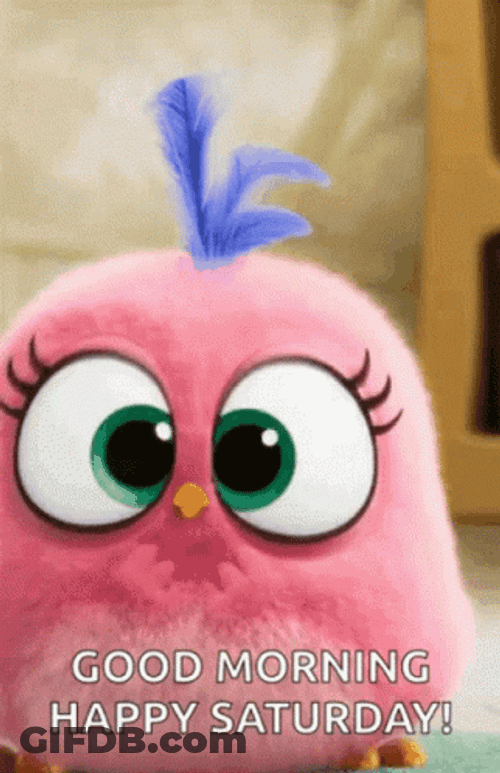 Cute Happy Saturday Angry Bird GIF