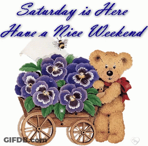 Cute Happy Saturday Bear With Wagon Of Flowers GIF