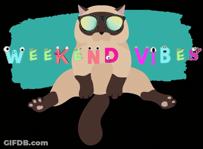 Cute Happy Saturday Sitting Cat With Eye Mask GIF