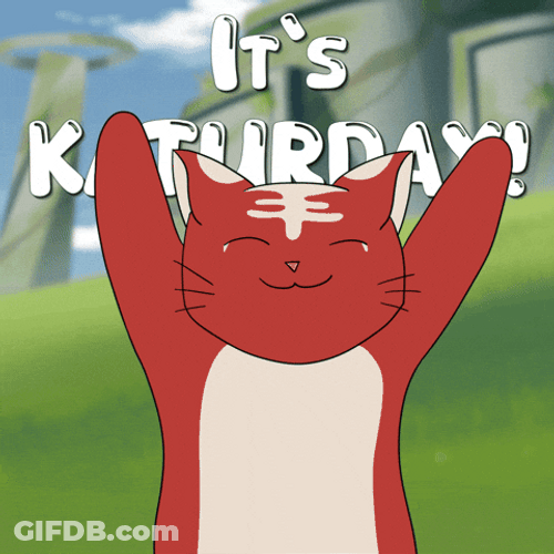 Cute Happy Saturday Smiling Red Cat GIF