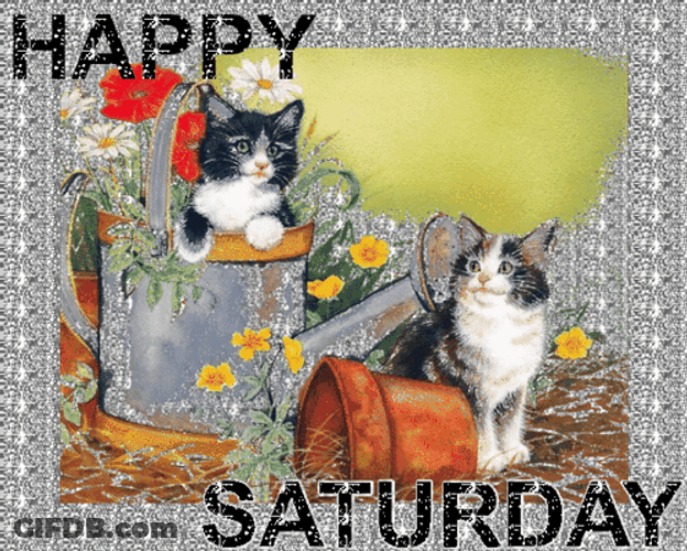 Cute Happy Saturday Two Black Cats GIF