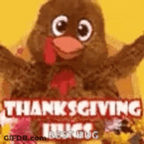 Cute Happy Thanksgiving Best Hug Duck GIF
