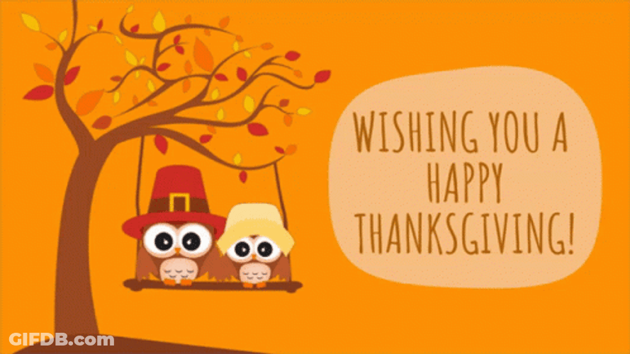 Cute Happy Thanksgiving Swinging Owl GIF