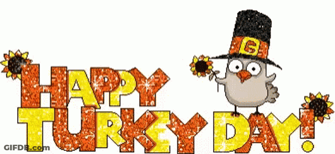 Cute Happy Thanksgiving Turkey Day GIF