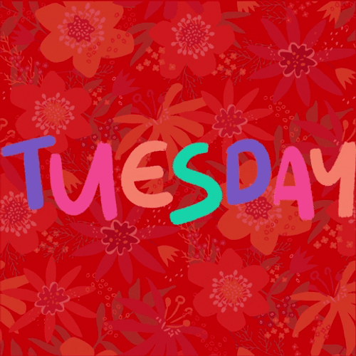 Cute Happy Tuesday Hippie Floral Design GIF