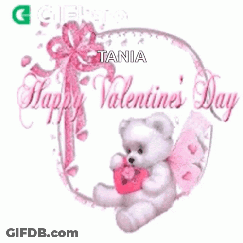Cute Happy Valentines Day GIF