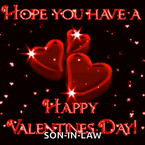Cute Happy Valentines Day Son In Law GIF
