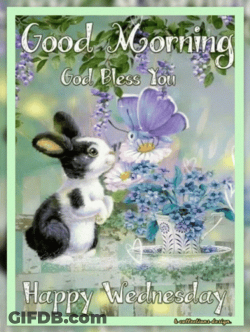 Cute Happy Wednesday Bunny GIF
