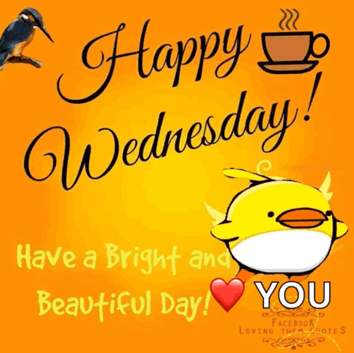 Cute Happy Wednesday Cute Bird GIF