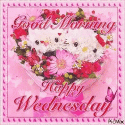 Cute Happy Wednesday Good Morning GIF