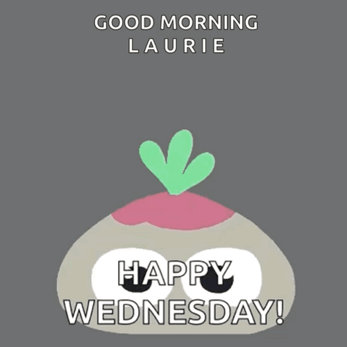 Cute Happy Wednesday Laurie GIF