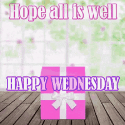 Cute Happy Wednesday Teddy Bear Gift GIF
