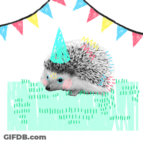 Cute Hedgehog In Birthday Party Hat GIF