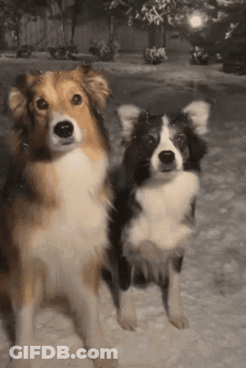 Cute Hugs GIF